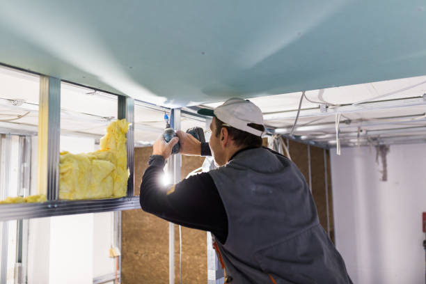 Best Insulation Maintenance and Repair in Hendersonville, NC